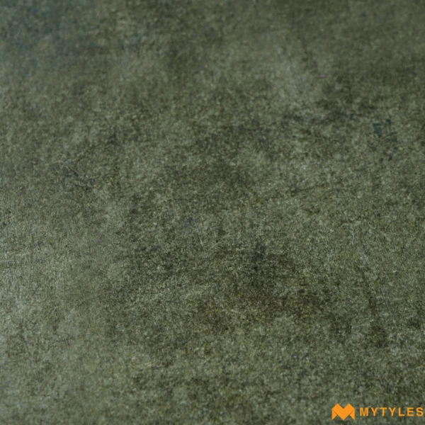 38815 image 16
