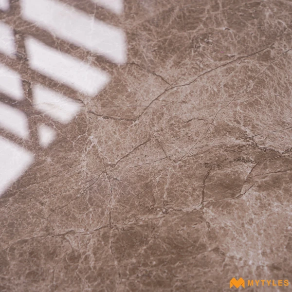 40171 image 11