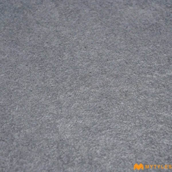 39140 image 11