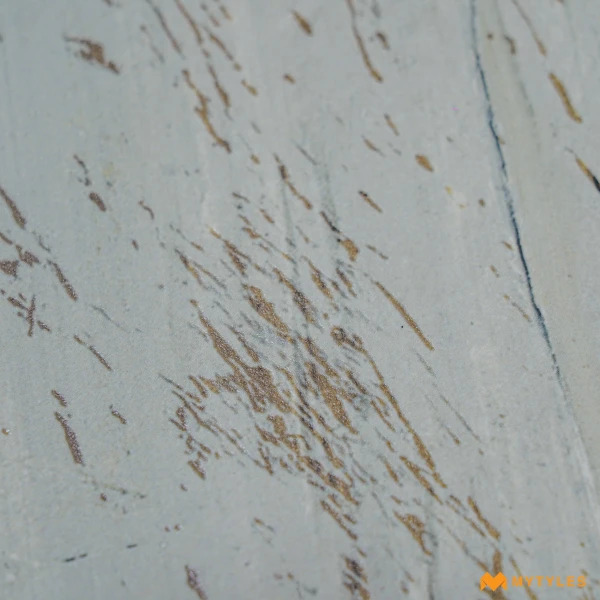 39100 image 11