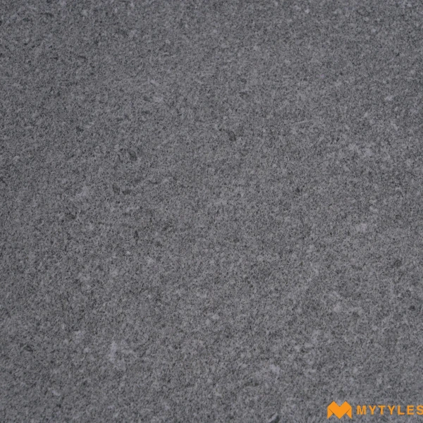 39964 image 10