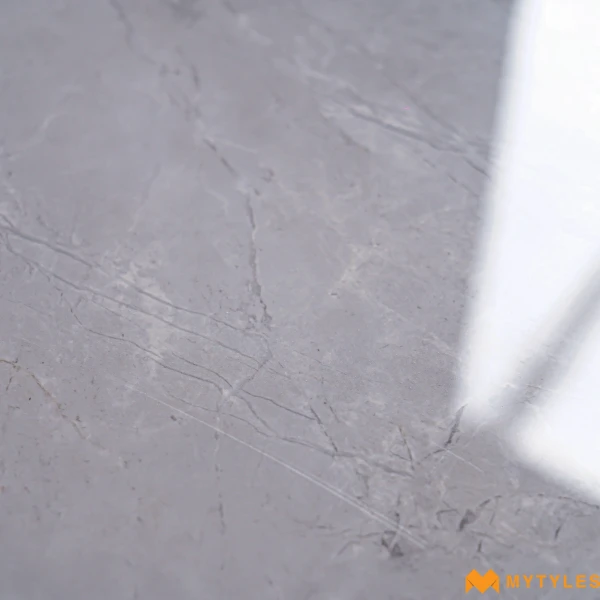 40604 image 11