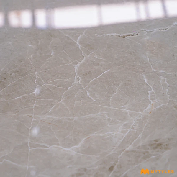 37561 image 8