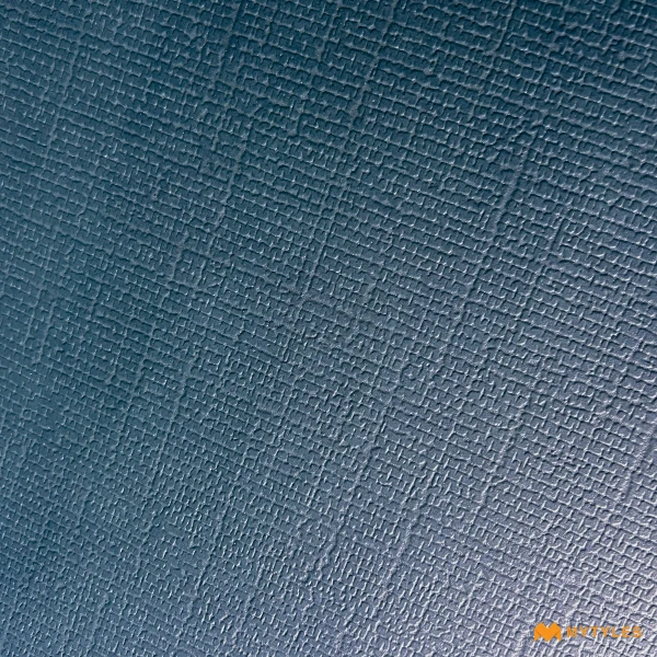 41061 image 12