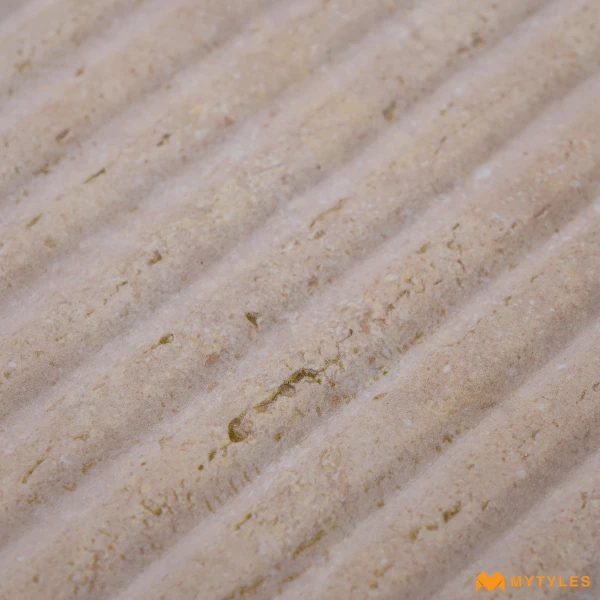 39016 image 10