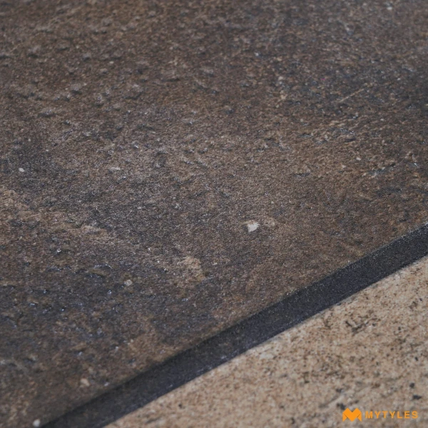 38361 image 9
