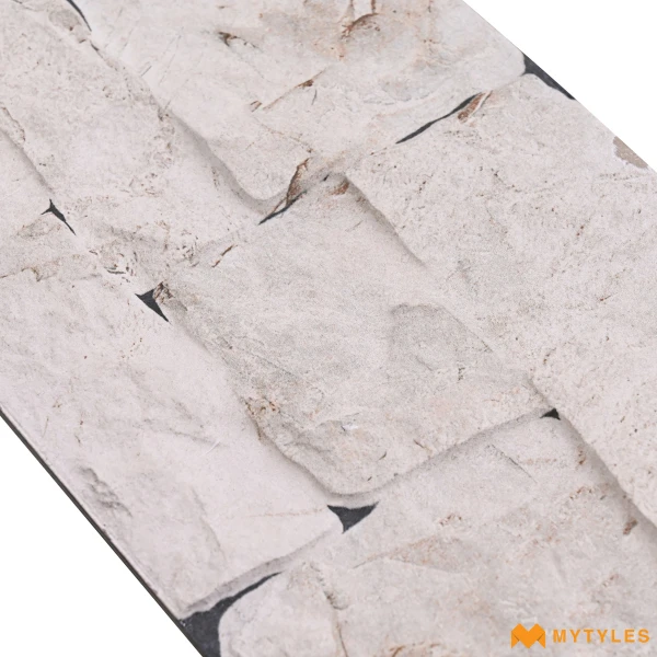 27455 image 8