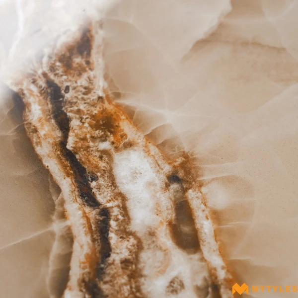 40617 image 10