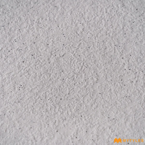 39529 image 9