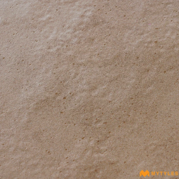 38830 image 11