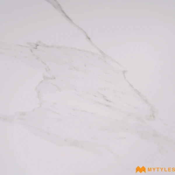 40280 image 14