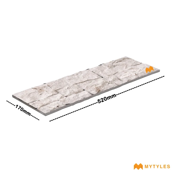 27455 image 3