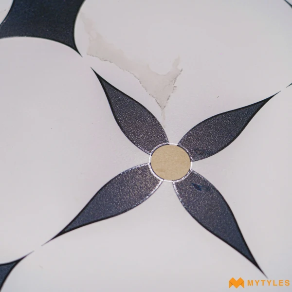 41232 image 18