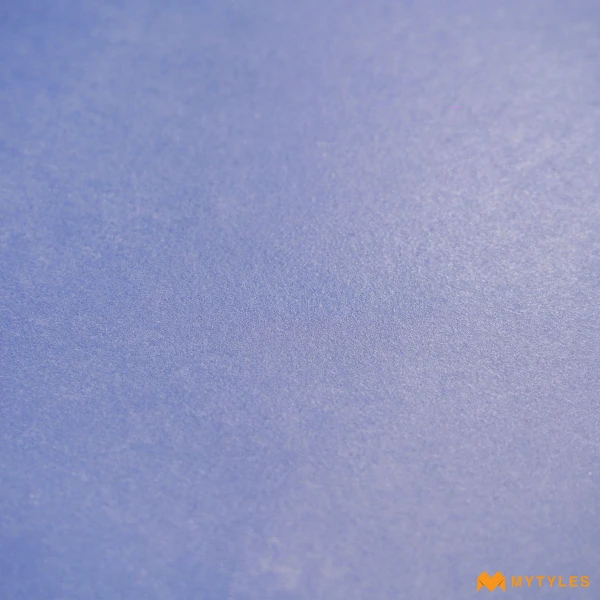 37749 image 7