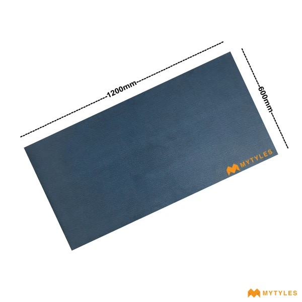 41061 image 4