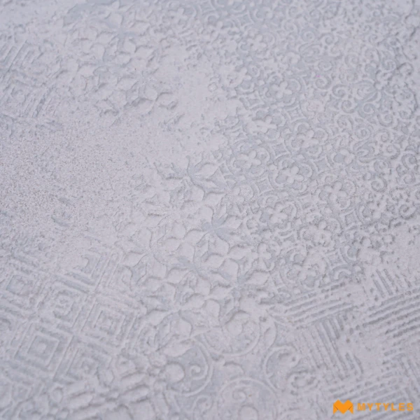 39024 image 9
