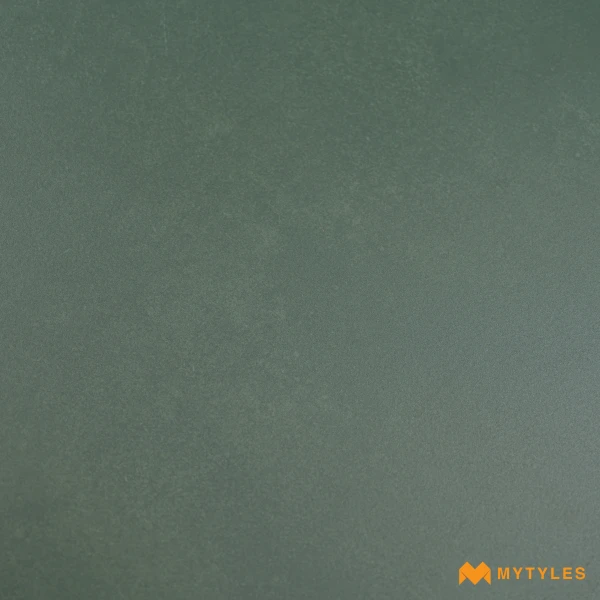 39539LT image 11