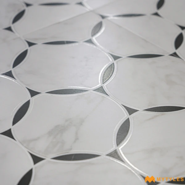 40703 image 13