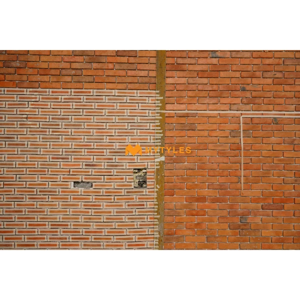 13232 image 20