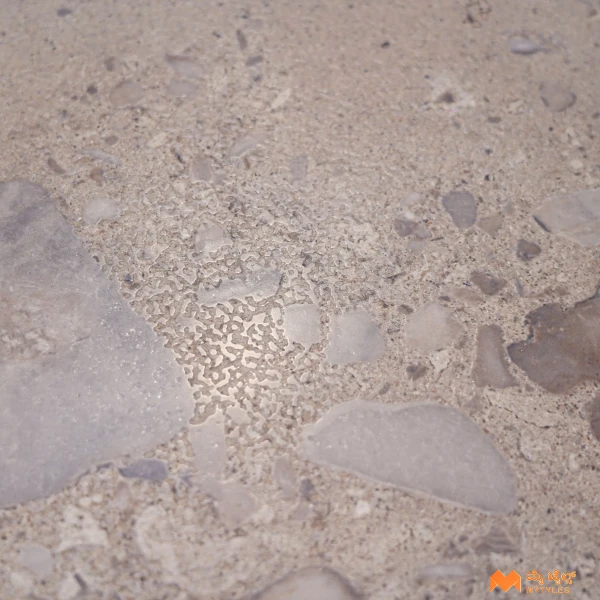 37312 image 13