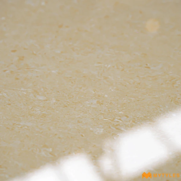 38879 image 12