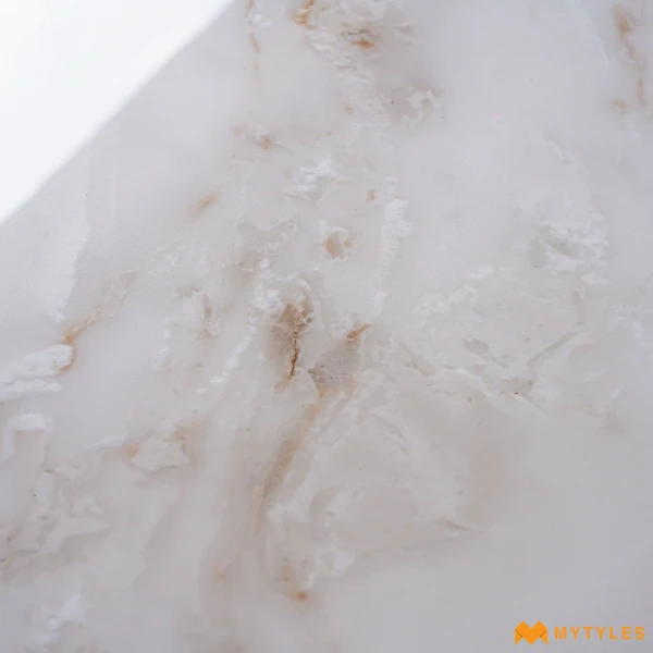 40607 image 11