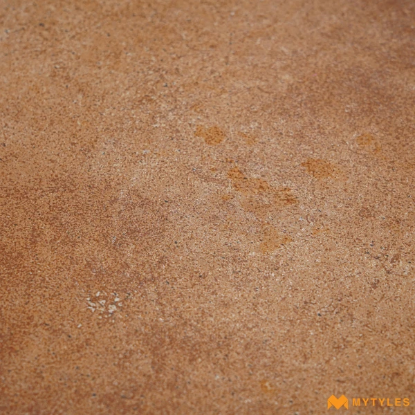 38389 image 14