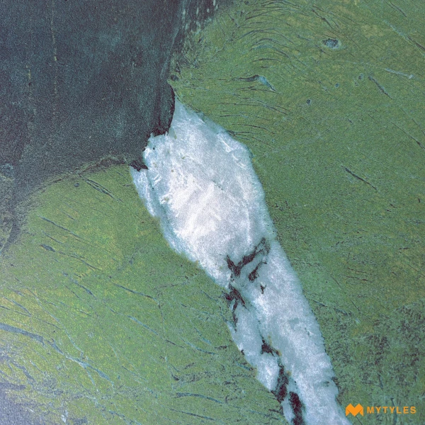 40371 image 12