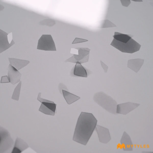 37505 image 10