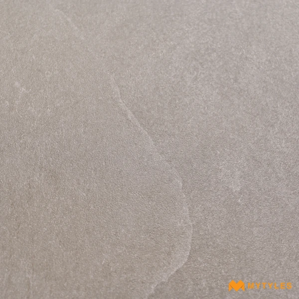 37091 image 9