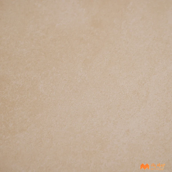 37884 image 6