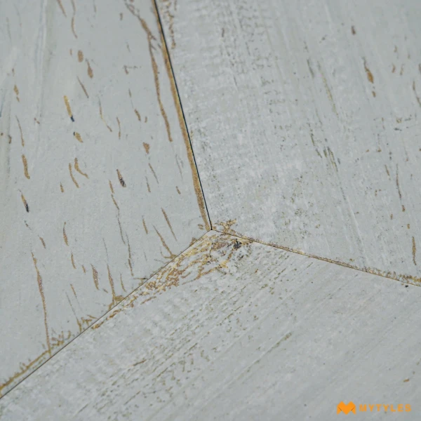 39100 image 10